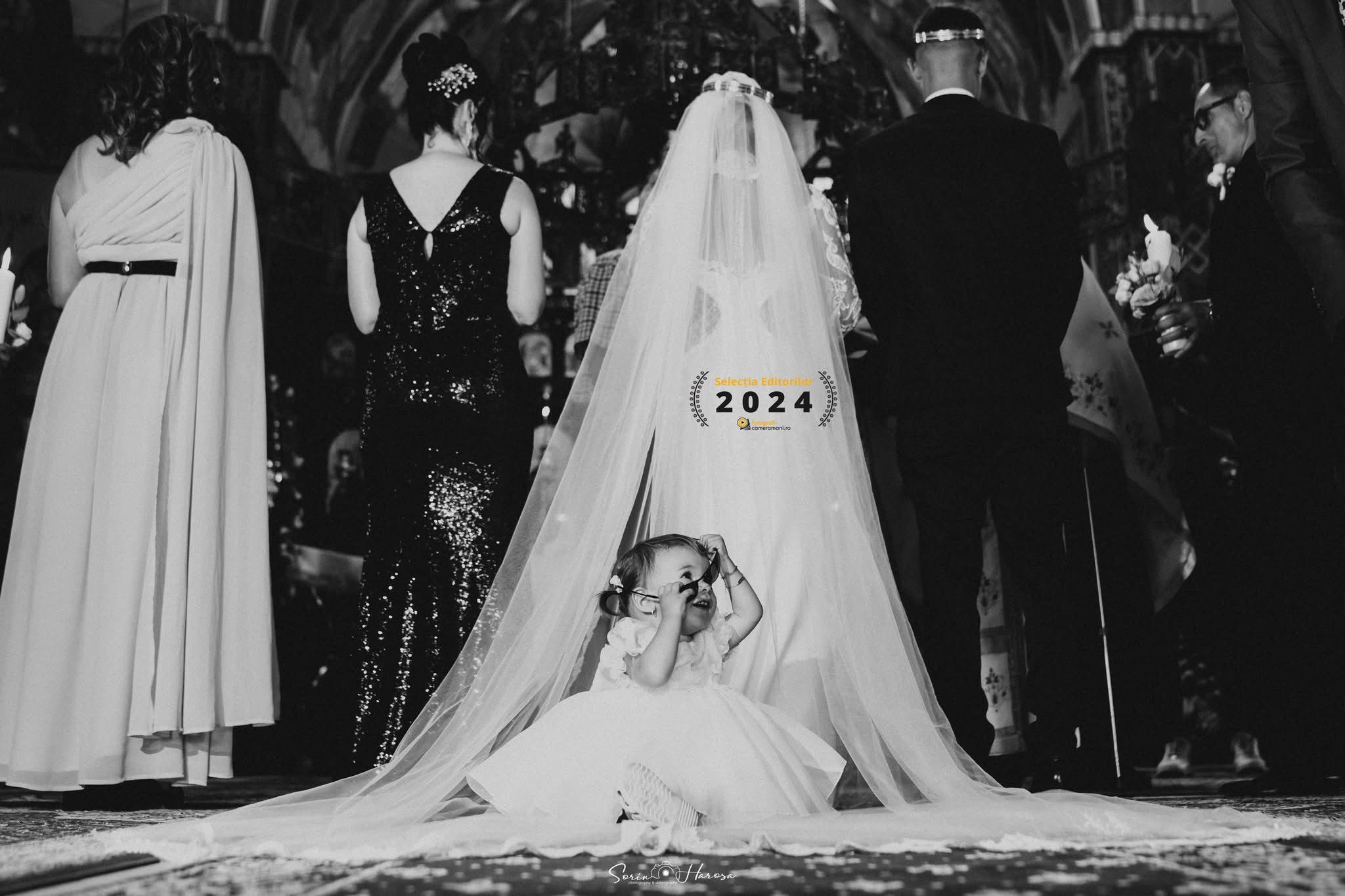 Selectia editorilor 2024